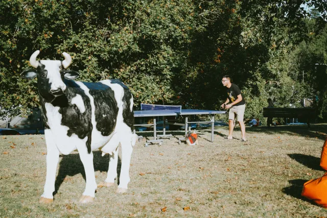 Table tennis on the lawn