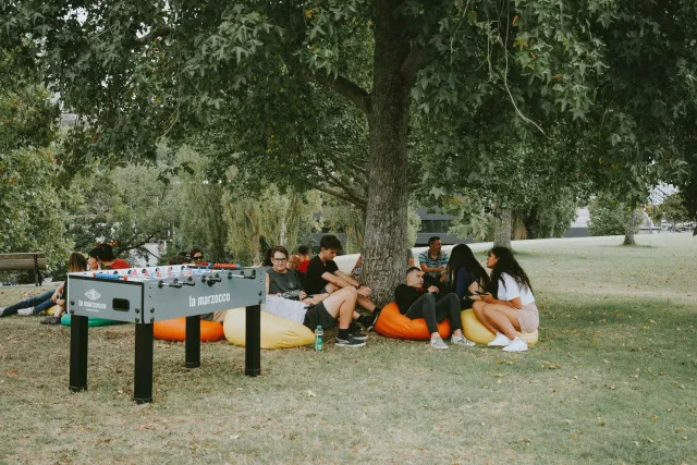 beanbags to chill on under the tree with the foosball table